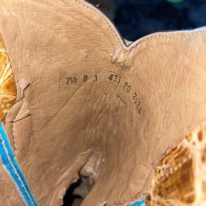 Ferrini pointed toe boots